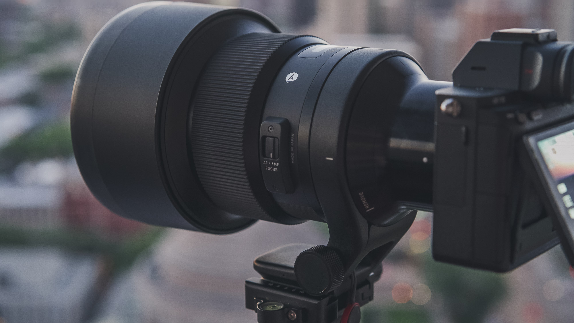 Sigma 105mm f/1.4 DG HSM Art Lens on Sony a7III